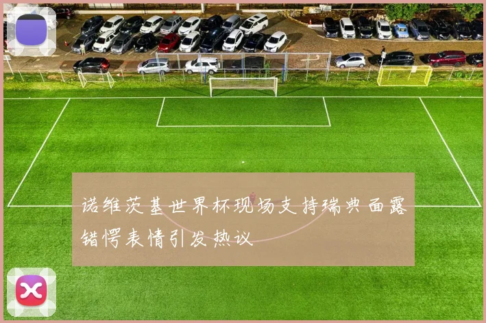 诺维茨基世界杯现场支持瑞典面露错愕表情引发热议