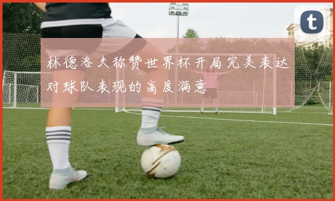 林德洛夫称赞世界杯开局完美表达对球队表现的高度满意