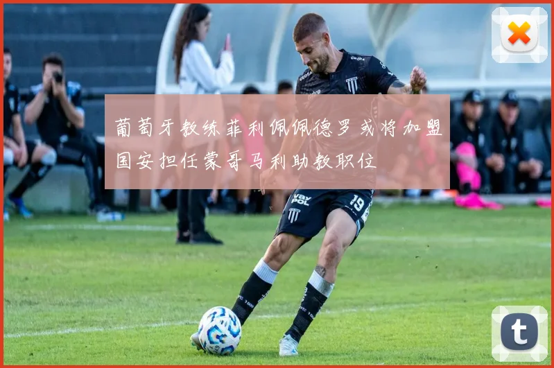 葡萄牙教练菲利佩佩德罗或将加盟国安担任蒙哥马利助教职位